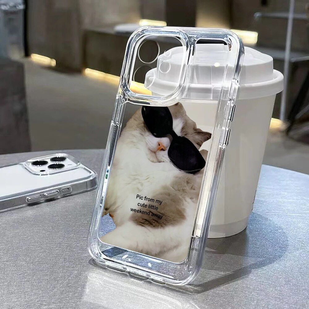 Cat Lover's Delight iPhone Clear Cartoon Case 