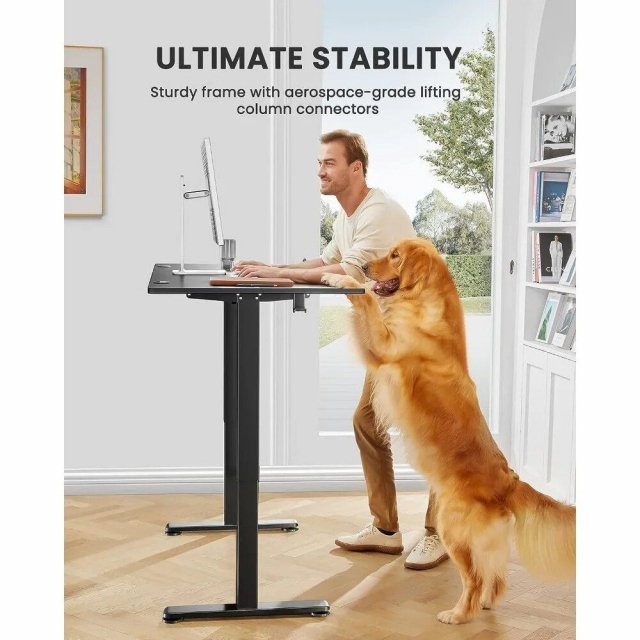 Electric Sit-Stand Desk - Image 3