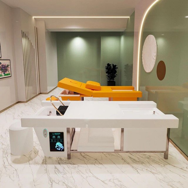 Multi-Function Spa Treatment Bed: Water Circulation, Fumigation & Storage - Image 4