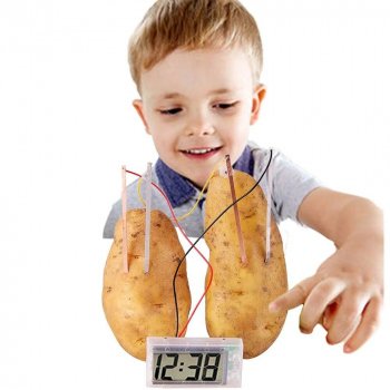 Kids' Eco-Friendly Science Experiment Kit - Montessori Potato Clock Educational Toy