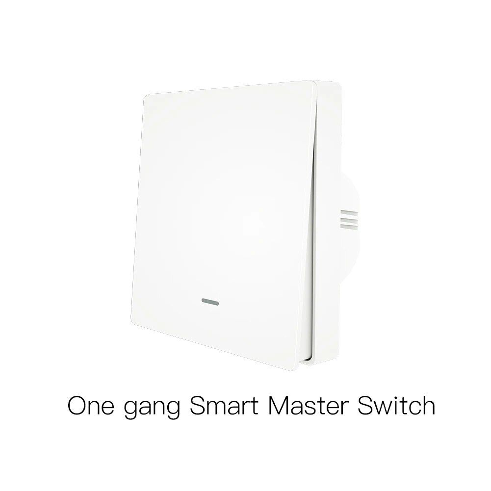 1 Gang Master Switch