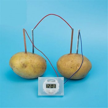 Kids' Eco-Friendly Science Experiment Kit - Montessori Potato Clock Educational Toy