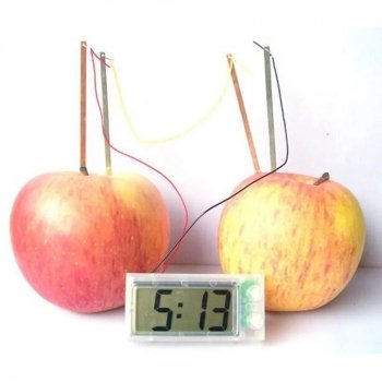 Kids' Eco-Friendly Science Experiment Kit - Montessori Potato Clock Educational Toy