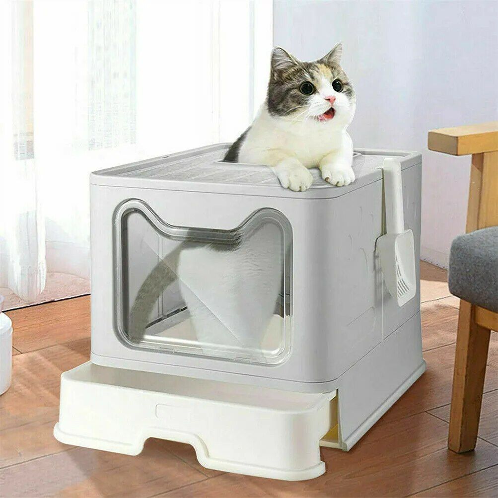 Cat Litter Box with Lid 