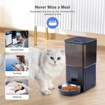 cat feeder interactive cat feeder interactive