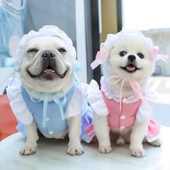 Adorable Pet Maid Cosplay Costume