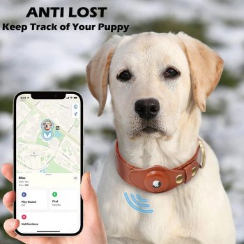 Adjustable AirTag Pet Collar with Reflective Design