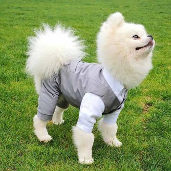 Elegant Cotton Wedding Suit for Small Dogs