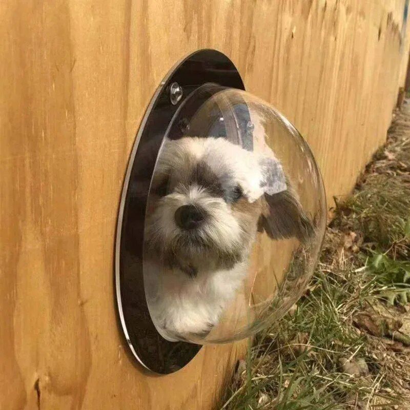 Dog window