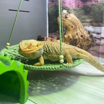 Handwoven Cotton Reptile Hammock