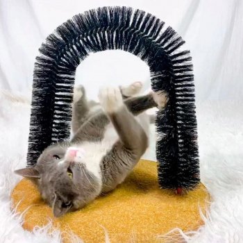 Cat Massage Arch Brush and Play Toy Grooming Pet Supplies