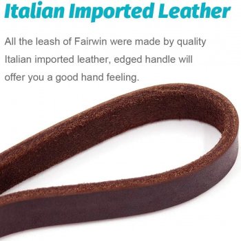 Premium Braided Leather Dog Leash