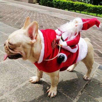 Adorable Christmas Dog Costume - Santa Riding Deer Outfit for All Dog Sizes