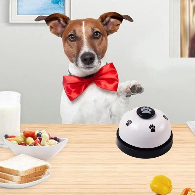 Dog Training & Call Bell - Image 4