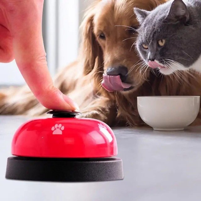 Dog Training & Call Bell - Image 6