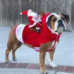 Adorable Christmas Dog Costume - Santa Riding Deer Outfit for All Dog Sizes