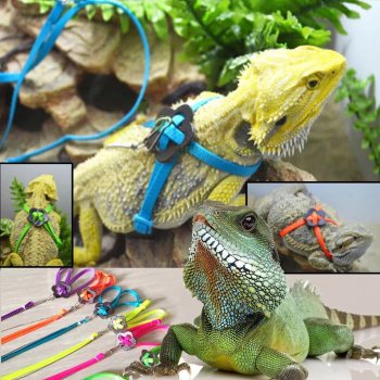 Adjustable Reptile Harness with Leash - Soft Polyester Walking Strap for Lizards and Turtles