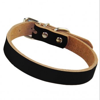 Luxurious Rolled Leather Dog Collar with Metal Accents