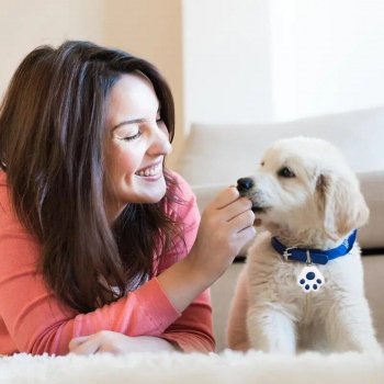 Compact Cat Claw-Shaped Pet GPS Tracker