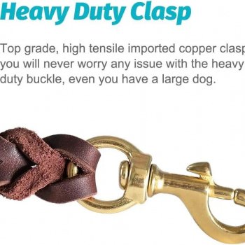 Premium Braided Leather Dog Leash