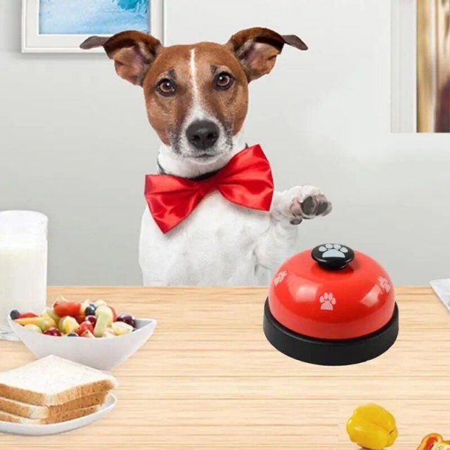 Dog Training & Call Bell - Image 7