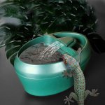 Multi-Species Reptile Water Dispenser