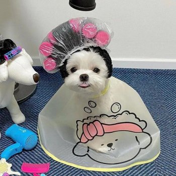 Pet Grooming Cloak