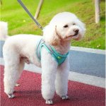 Dog Vest Type Harness for Dogs and Cats - Image 3