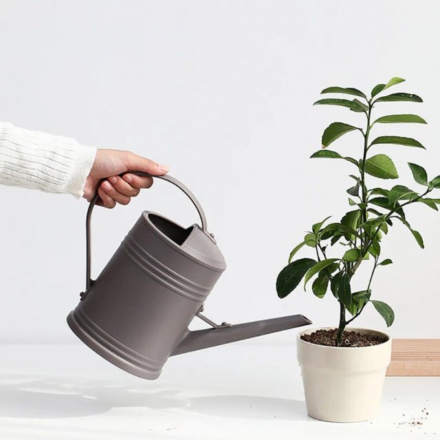Efficient 2L Long-Spout Watering Can for Indoor and Outdoor Plants - Image 3