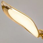 Elegant Rose Gold LED Wall Lamp - Image 4